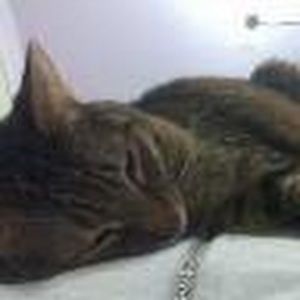 Meet your Posher, Ashlee